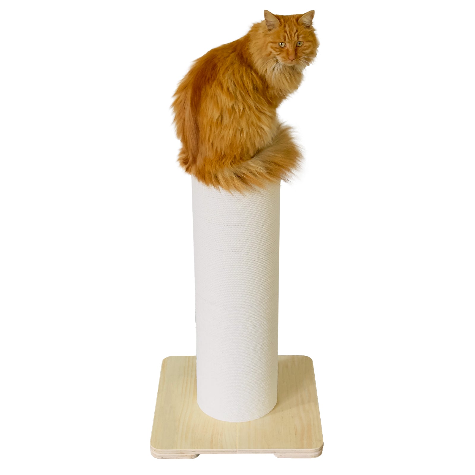 Decorative scratching post best sale